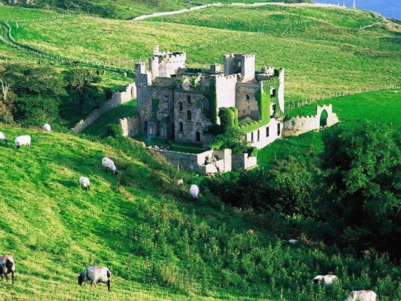 The ruin of Clifden Castle on a green slope, with sheep grazing below it