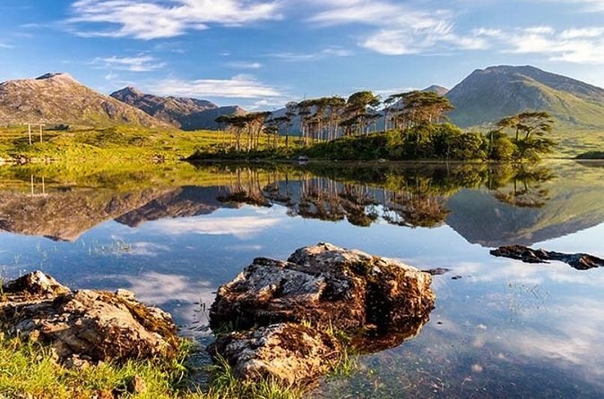 A small island of pines reflected in a still Connemara lough, with bare mountains behind and rocks in the foreground